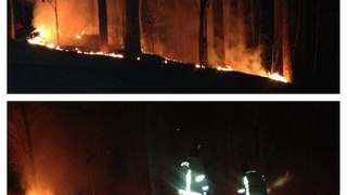 Chipper Jones Set The Woods On Fire